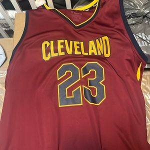 Fanatics lebron James jersey cavaliers